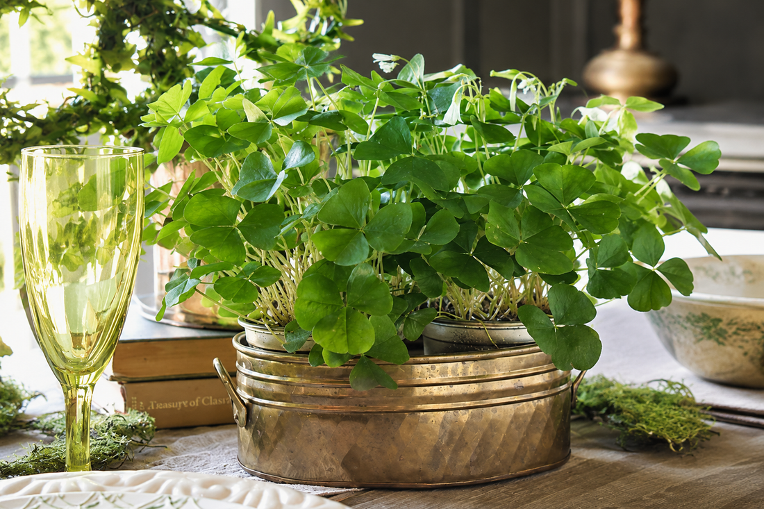 Fresh Flowers, Branches & Greenery: The Easiest Design Upgrade