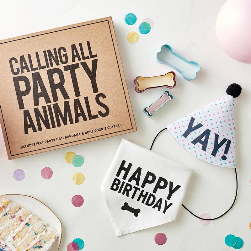 Dog Birthday Party Box | Hat, Bandana & Treat-Making Kit