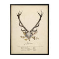 Vintage Antler Bookplate F on Distressed Background