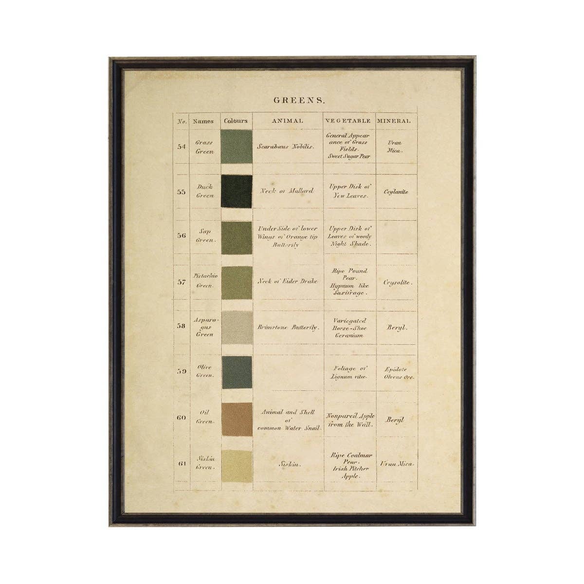 Vintage Descriptive Handwritten Color Chart Of Greens