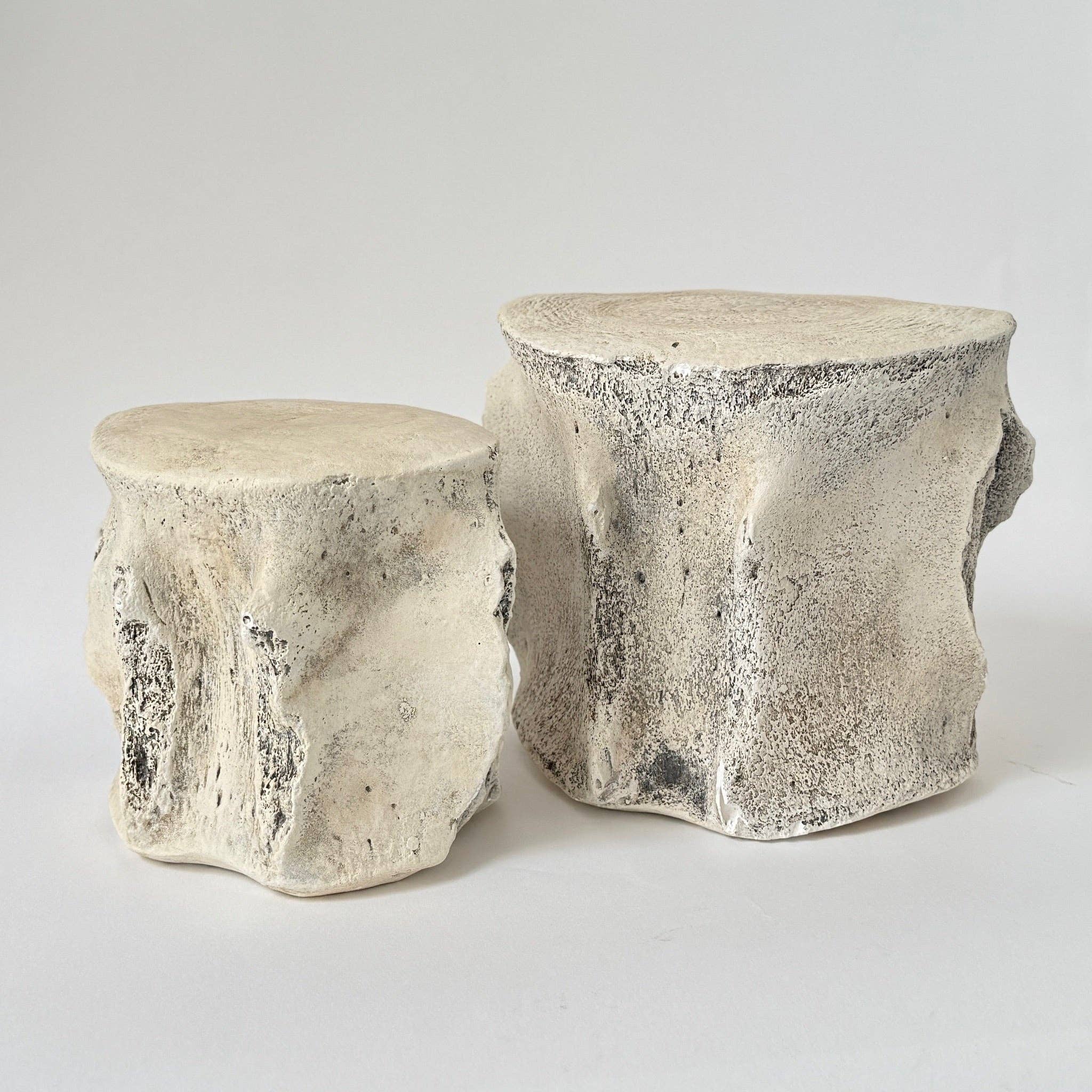 Sperm Whale Vertebrae