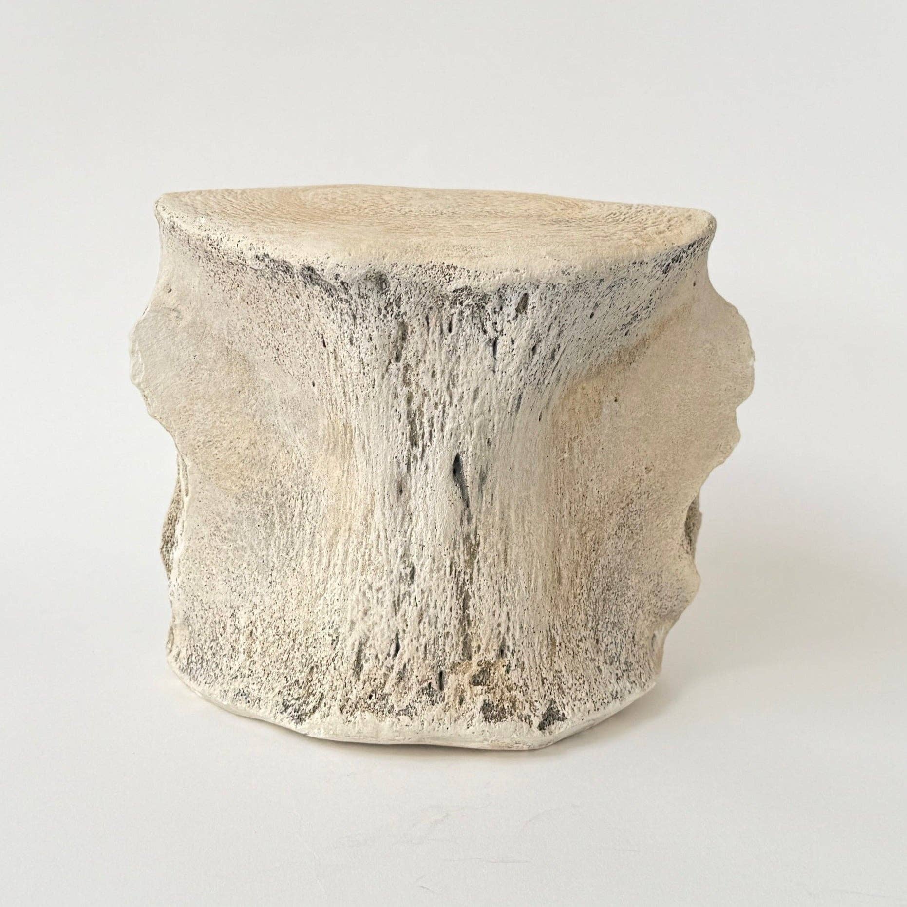 Sperm Whale Vertebrae