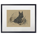 Dog sketch C on brown background