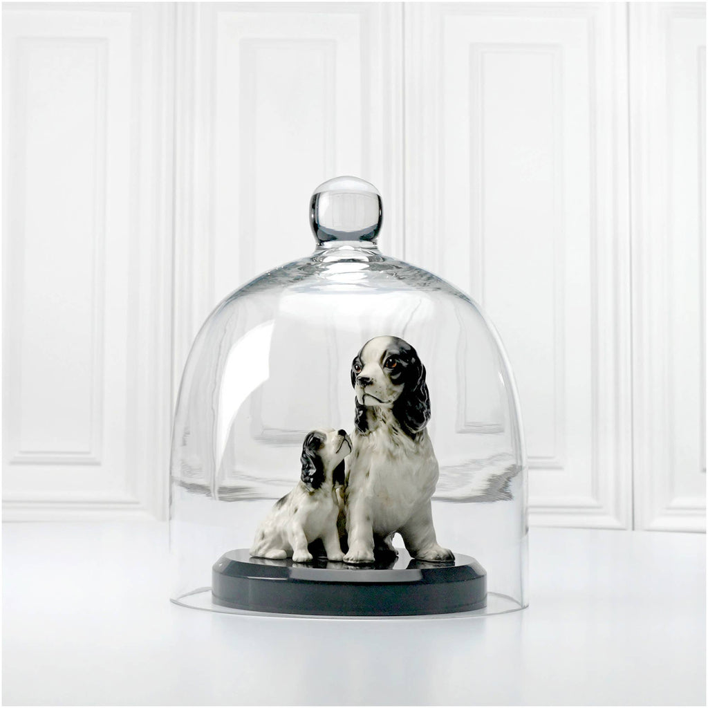 Handcrafted Glass Display Cloche | 4 Sizes Available