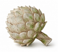 Artichoke Sculpture