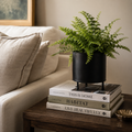 Atticus Footed Garden Planter Pot Black Metal