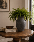 Black Stoneware Weathered Jug with Handles