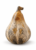 Cider Pear Pumpkin | 5"