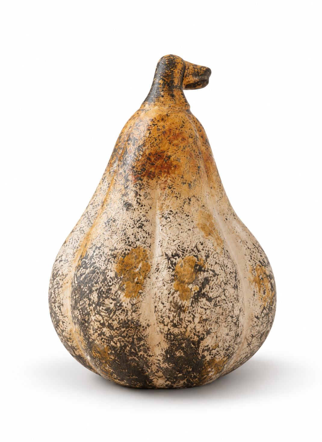 Cider Pear Pumpkin | 5"