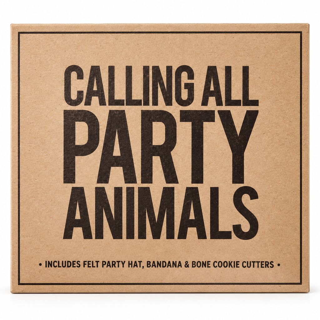 Dog Birthday Party Box | Hat, Bandana & Treat-Making Kit
