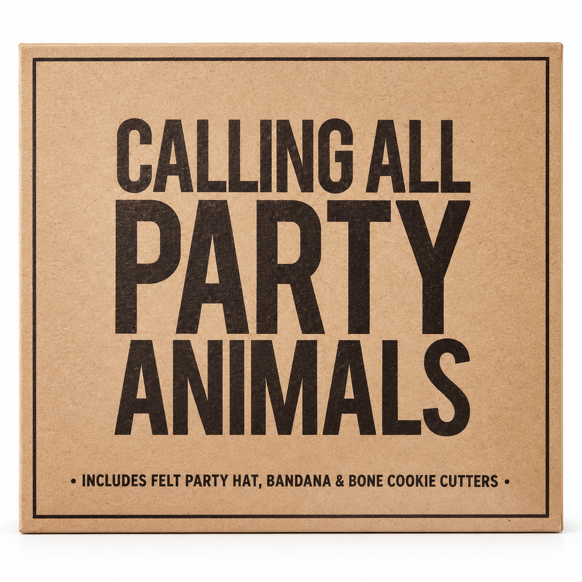 Dog Birthday Party Box | Hat, Bandana & Treat-Making Kit
