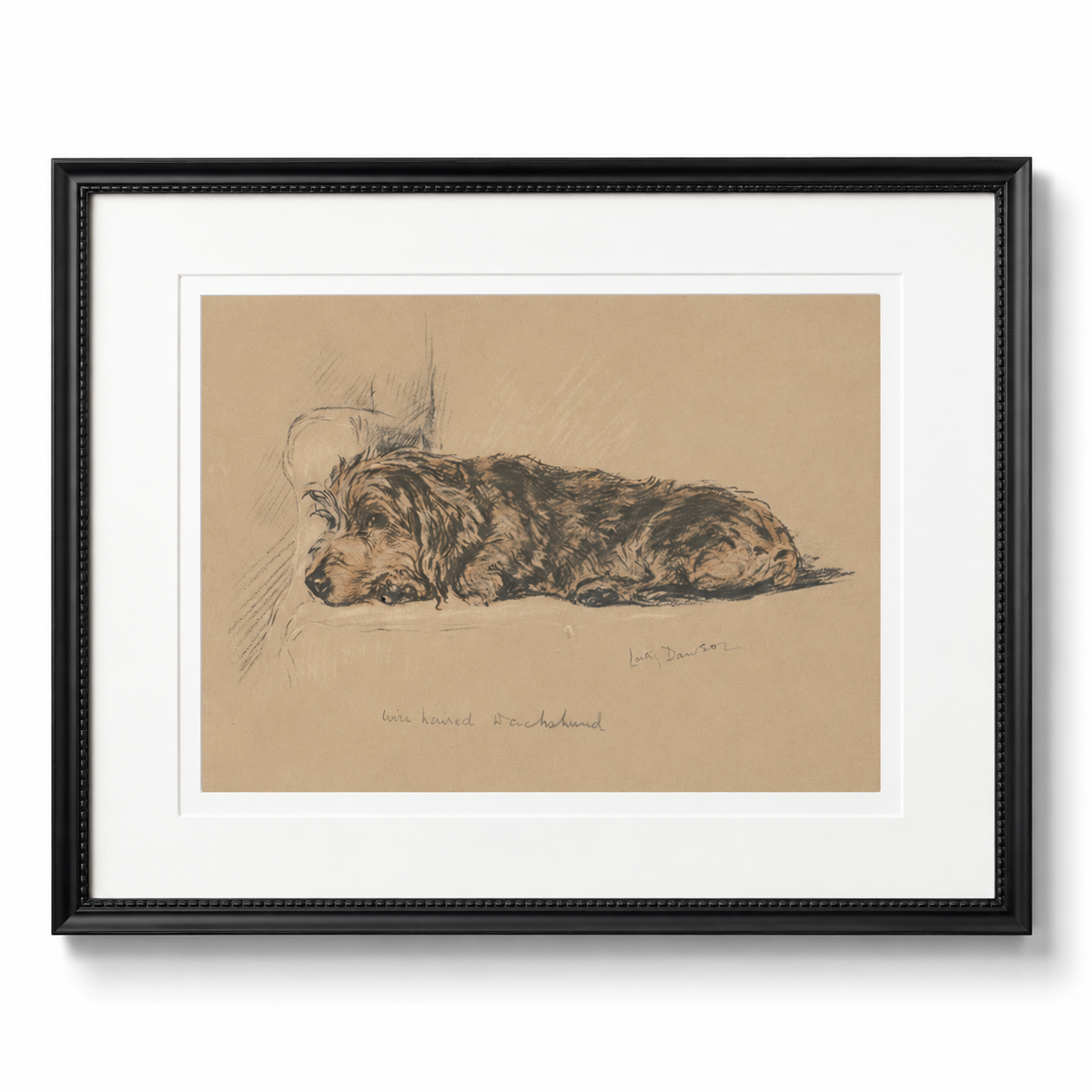 Dog Sketch B on Brown Background