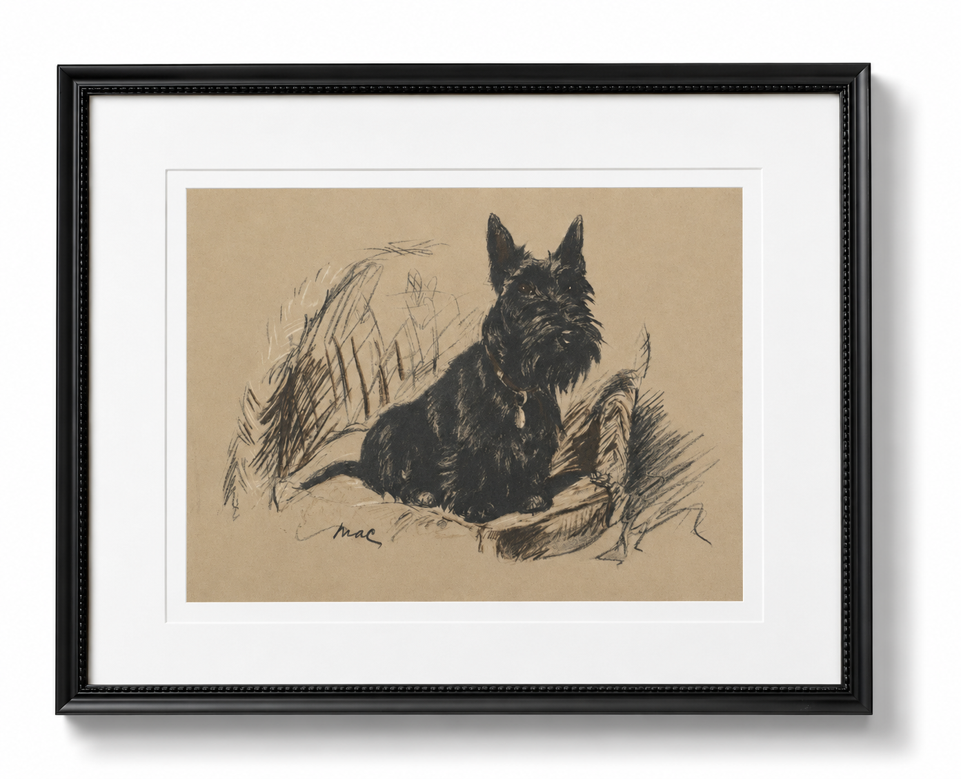 Dog Sketch C on Brown Background