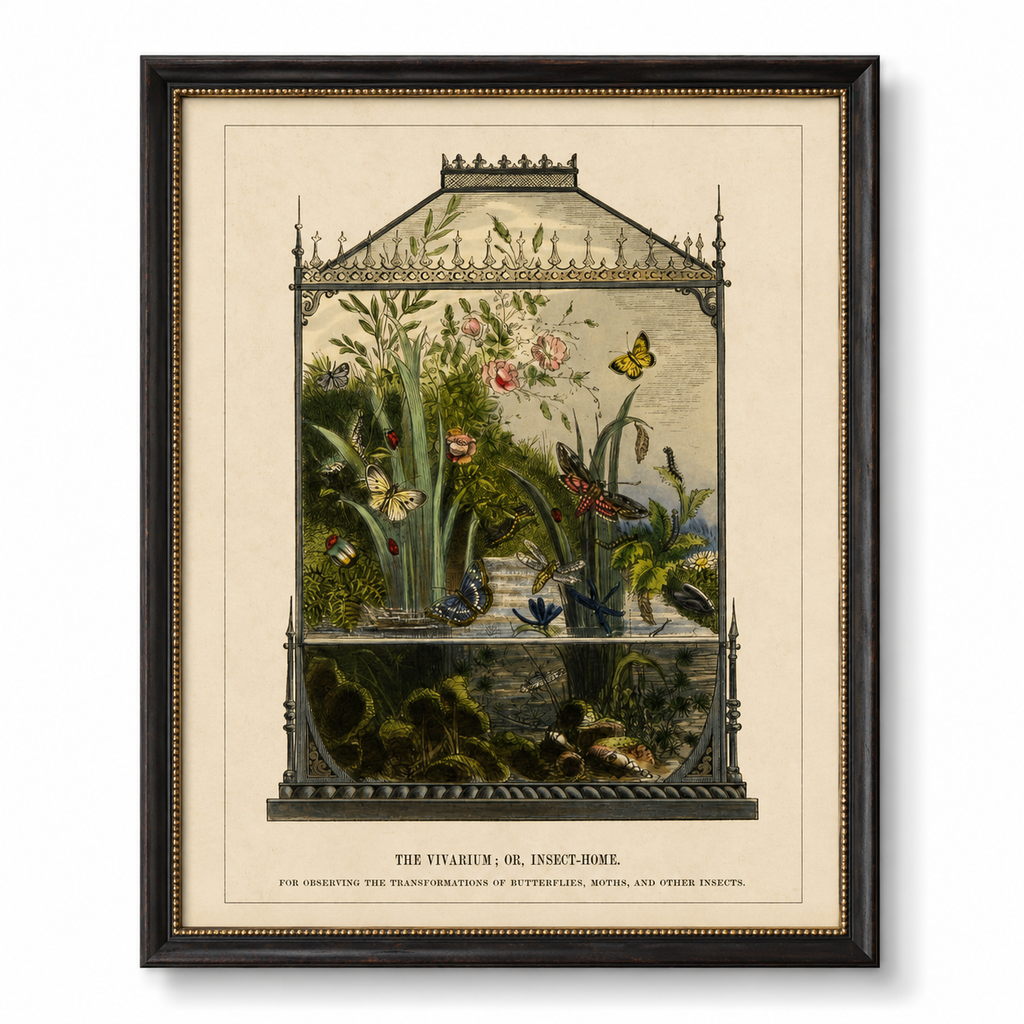 Framed The Vivarium; or, Insect-Home Bookplate
