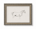 Horse Sketch Framed Antique Art