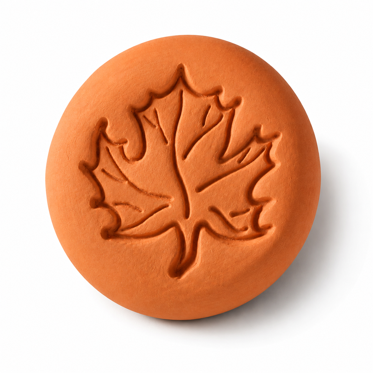 Terracotta Brown Sugar Saver