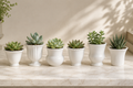 Mini Cachepots — Set of 6