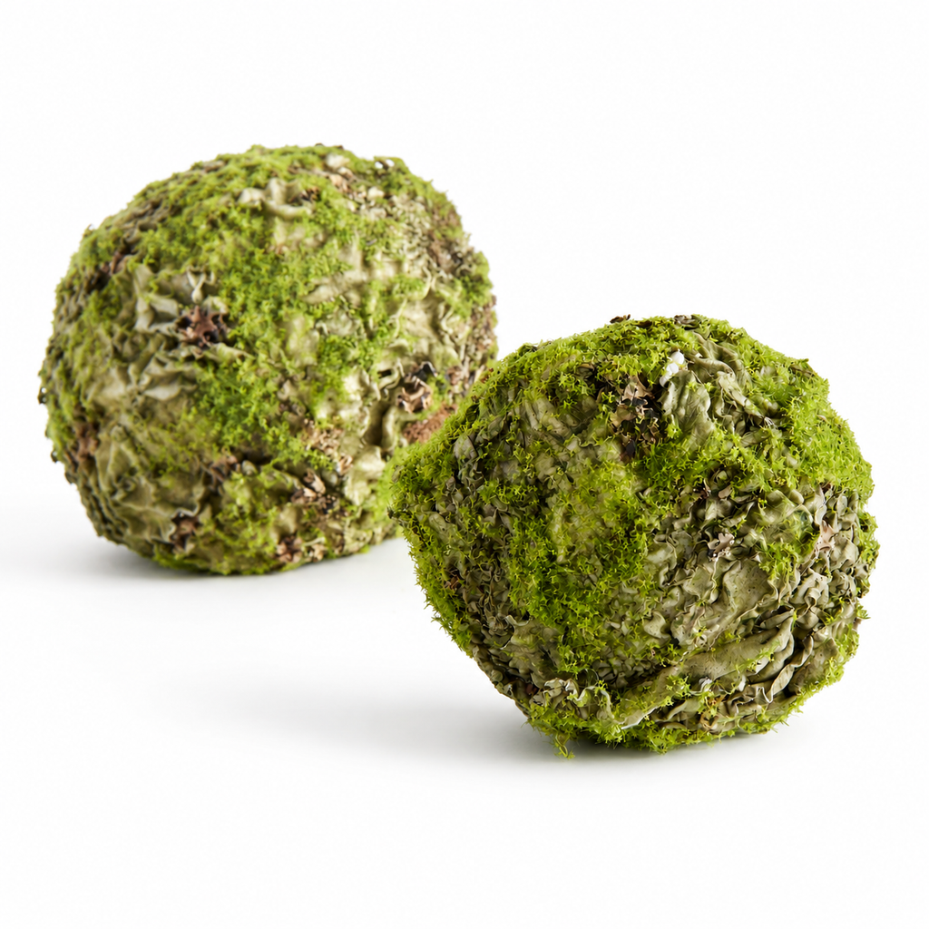 Mossy Lichen Orbs