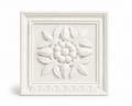 Nuts Decorative Plaque