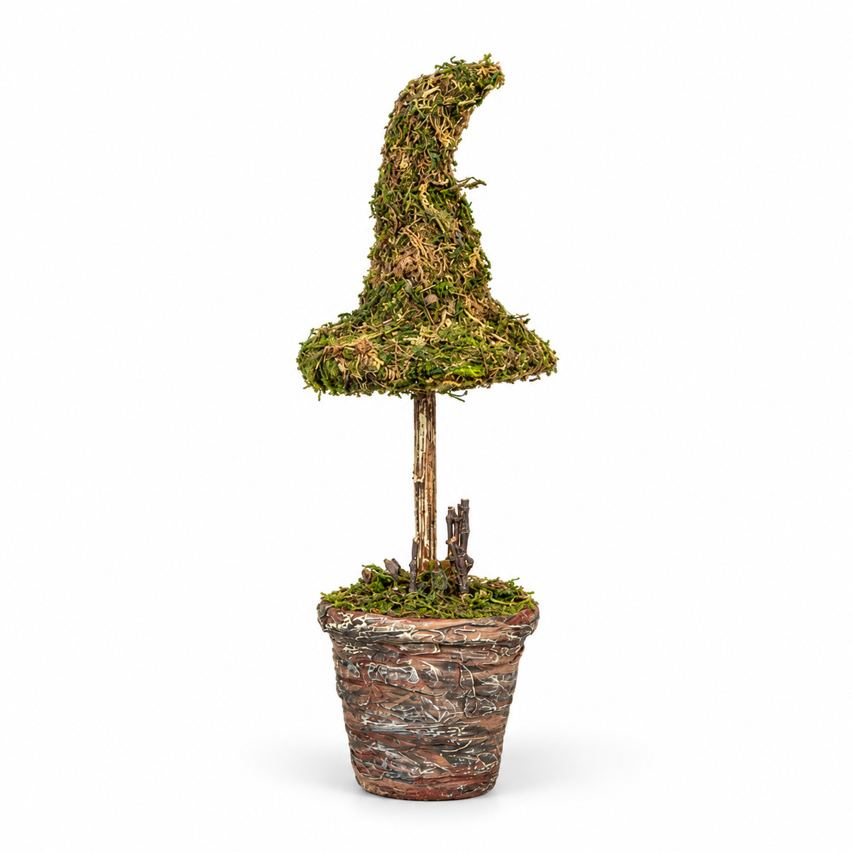 Potted Moss Witch’s Hat | 12"