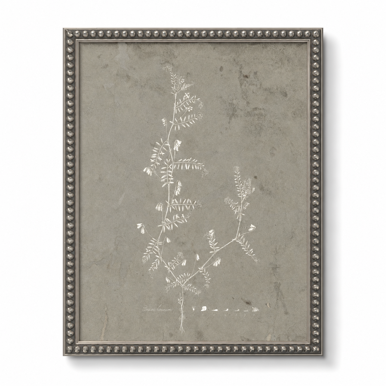 Taupe and Cream Florals B on Distressed Background