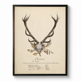 Vintage Antler Bookplate F on Distressed Background