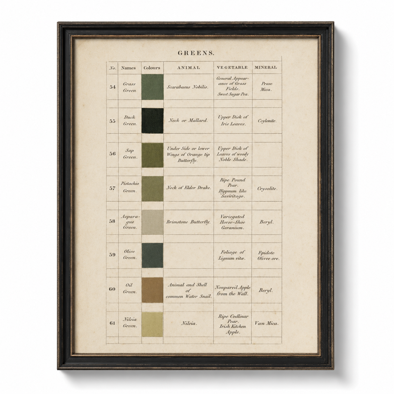 Vintage Descriptive Handwritten Color Chart Of Greens