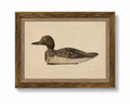 Wooden Duck Decoy Framed Antique Art