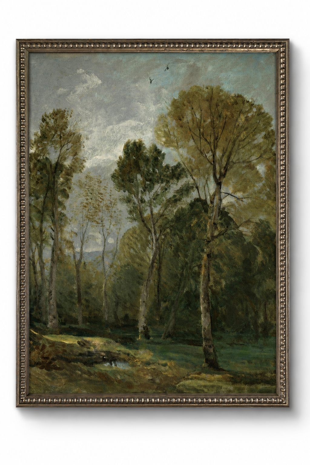 Woodland in Green