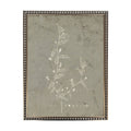 Taupe and Cream Florals B on Distressed Background