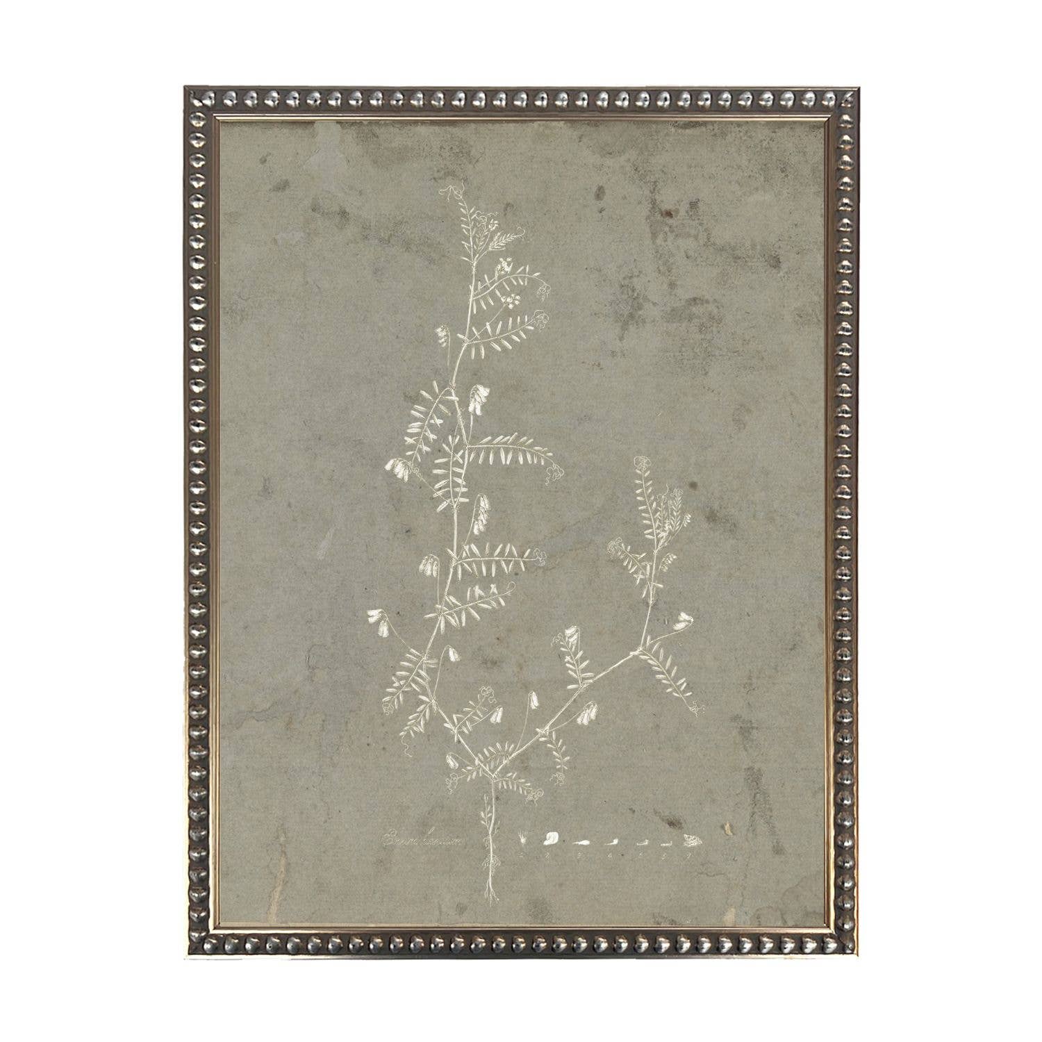 Taupe and Cream Florals B on Distressed Background