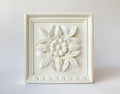 Nuts Decorative Plaque