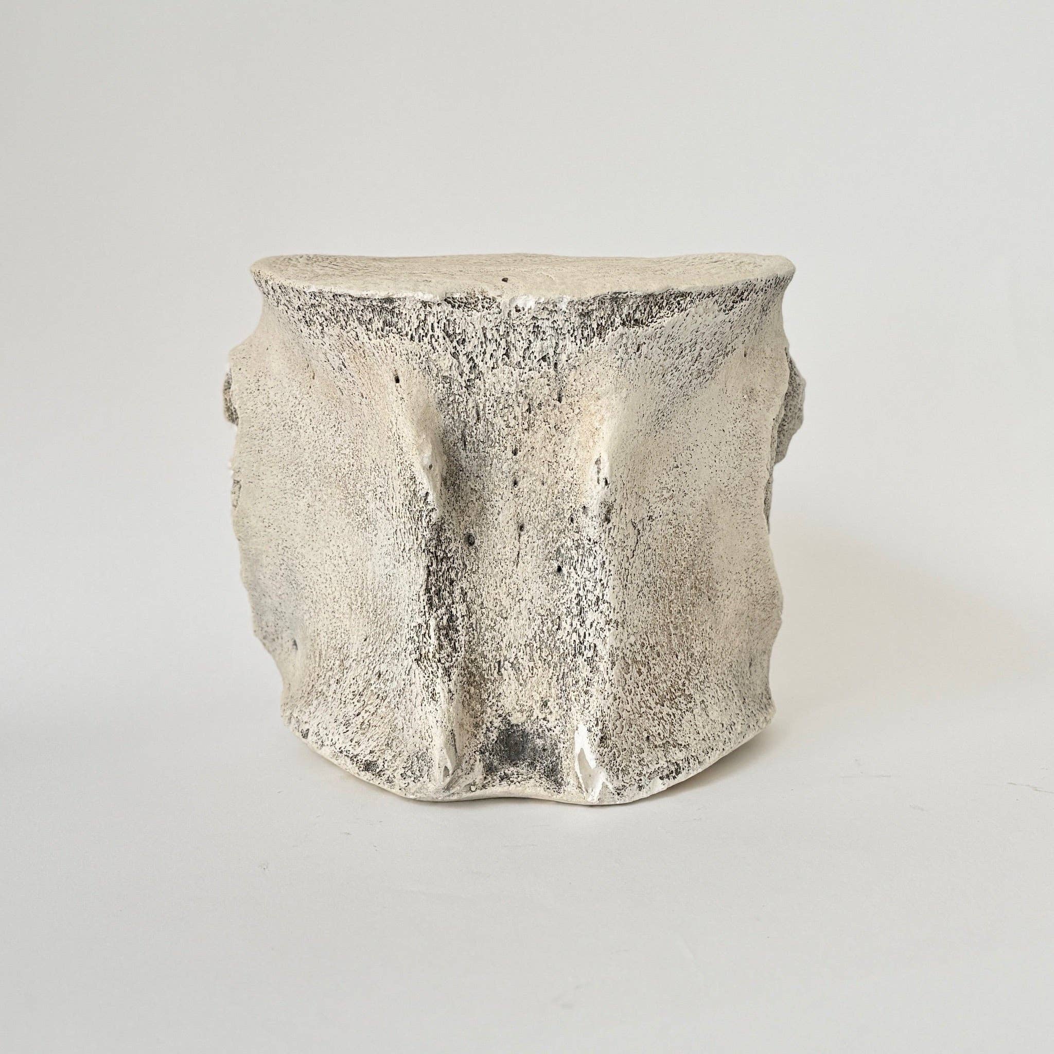 Sperm Whale Vertebrae