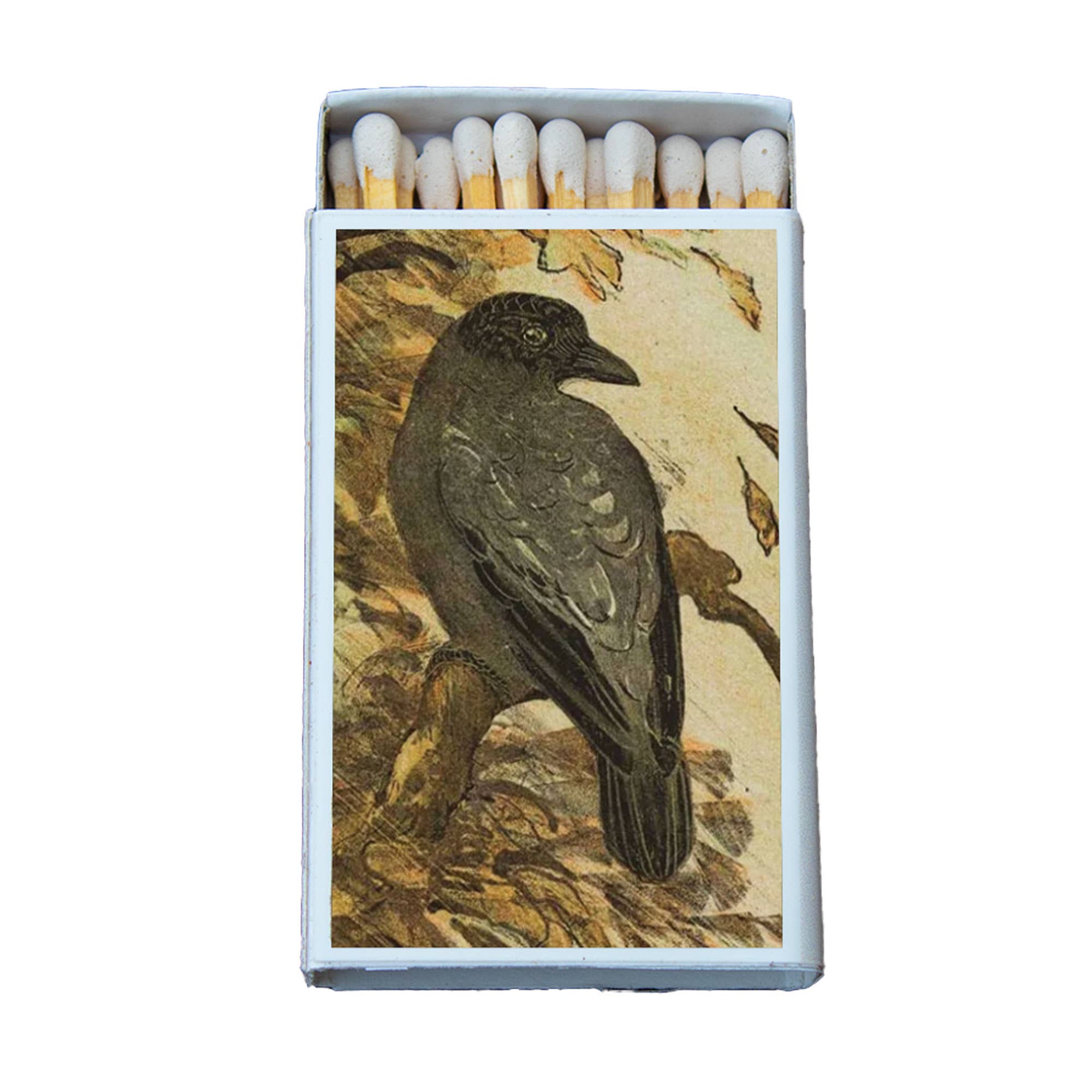 Matches • Crow on a Branch