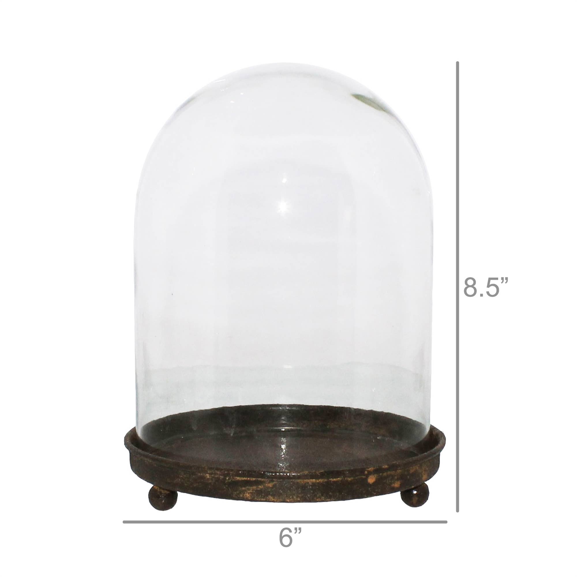 Metal & Glass Cloche