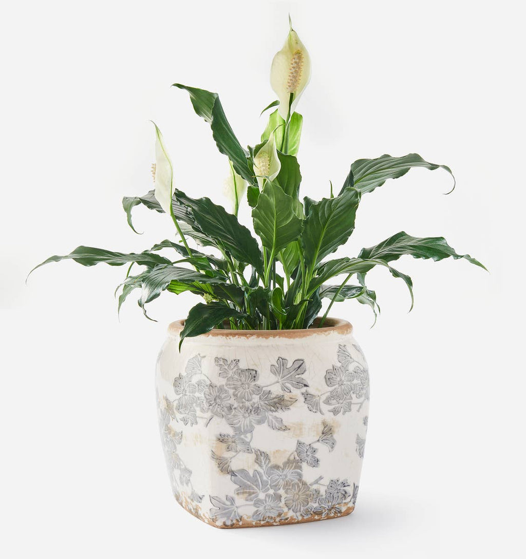 Blue Botanical Square Planter | Antique-Inspired