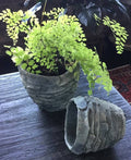 Palm Leaf Cement Planter