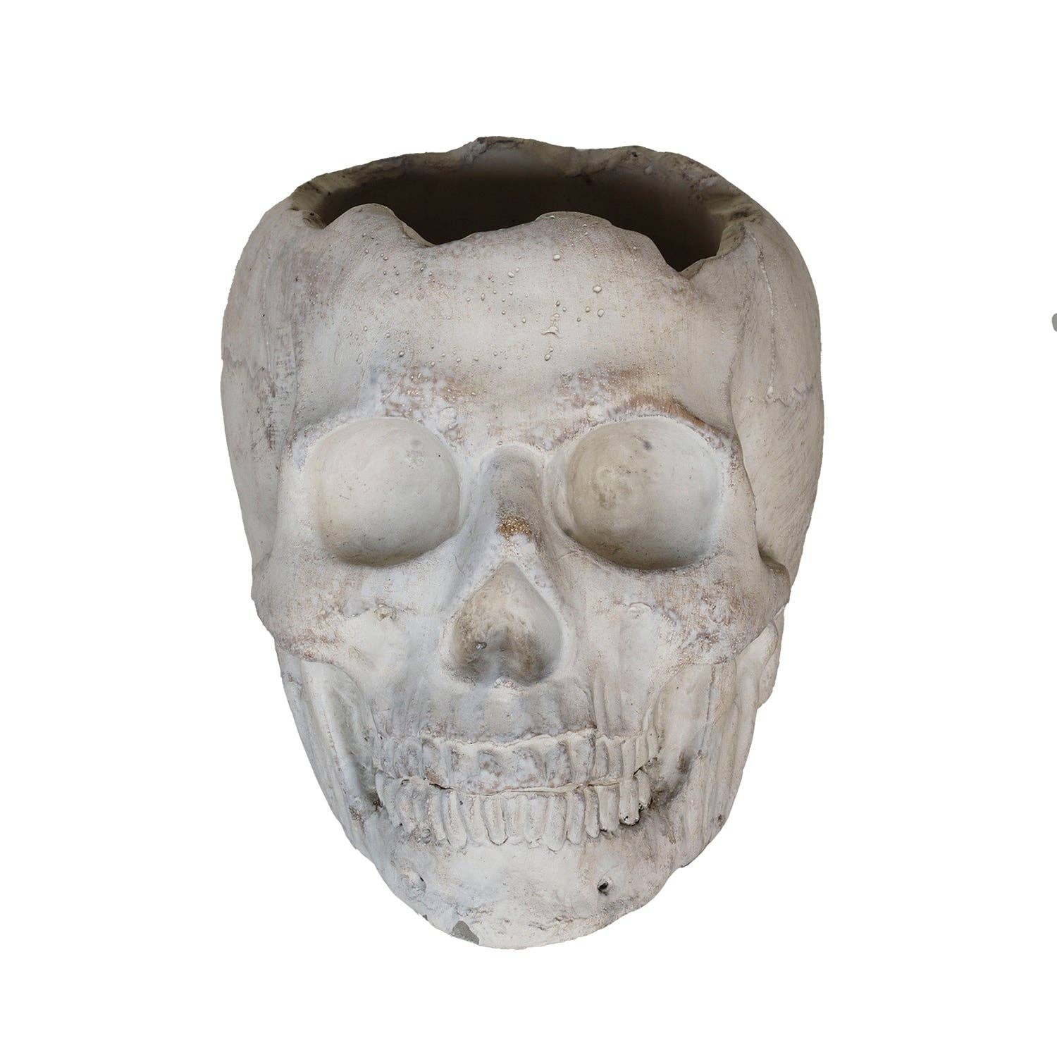 Concrete Momento Mori Skull